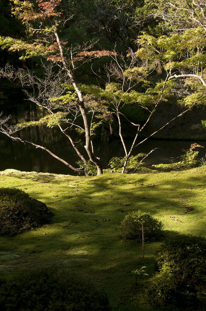 Saihō-ji (Moss Temple)