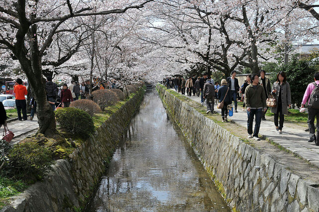 Philosopher's Path